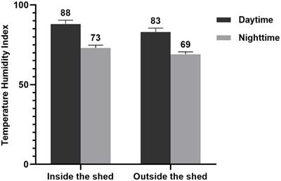 Effects of fermented feed of Pennisetum giganteum on growth performance, oxidative stress, immunity and gastrointestinal microflora of Boer goats under thermal stress